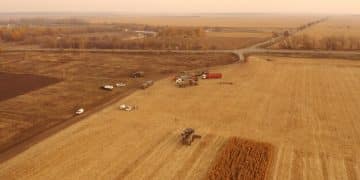 Analyzing USMCA's Impact on US Agricultural Exports - Cover Image