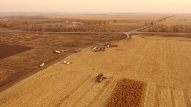 Analyzing USMCA’s Impact on US Agricultural Exports