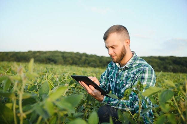 A farmer reviewing financial data on a tablet while standing in a soybean field, illustrating the importance of financial planning and awareness of market trends.