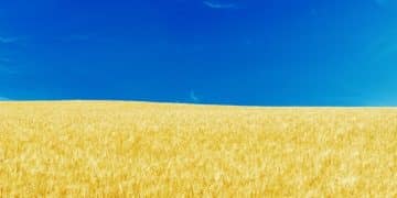 US Farm Bill: How Government Subsidies Impact Crop Production - Cover Image