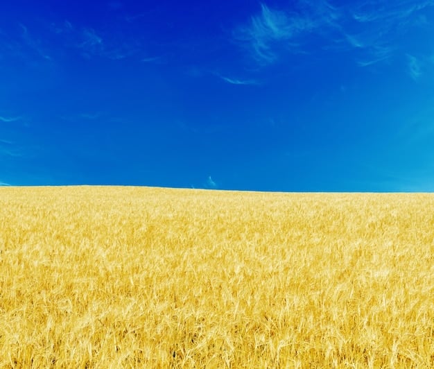 US Farm Bill: How Government Subsidies Impact Crop Production
