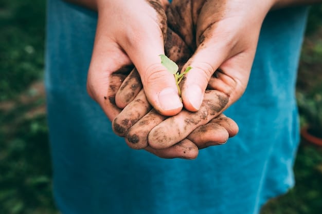 A close-up shot of a farmer's hands holding soil, with seedlings emerging, representing the direct impact of farm bill policies on agricultural practices and land management.