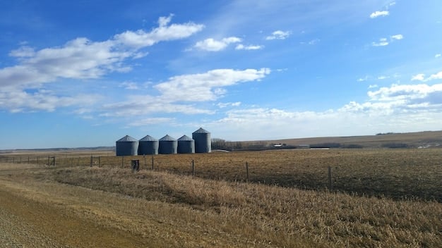 US Grain Storage Capacity: Preparing for the 2025 Harvest