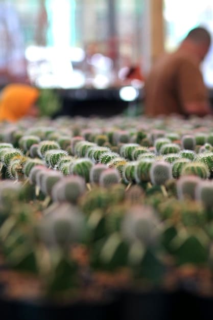 US Food Safety Regulations: Key Changes & Impact on Producers