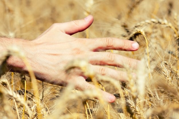 A close-up shot of a farmer's hands, calloused and worn, holding a handful of dry soil. The background is blurred, focusing on the texture of the soil and the farmer's hands, conveying the direct link between labor and land in agriculture.
