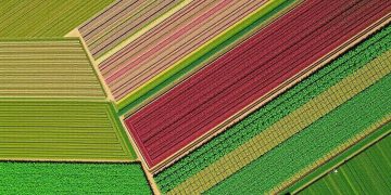 Satellite imagery for yield prediction: unlock your farm's potential