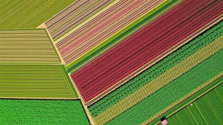 Satellite imagery for yield prediction: unlock your farm's potential