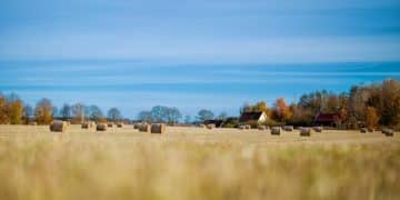 US Farmers: Boost Profits with Predictive Analytics for Crops - Cover Image
