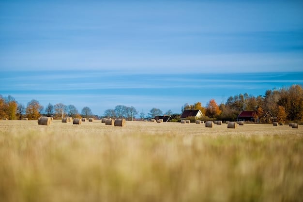 US Farmers: Boost Profits with Predictive Analytics for Crops