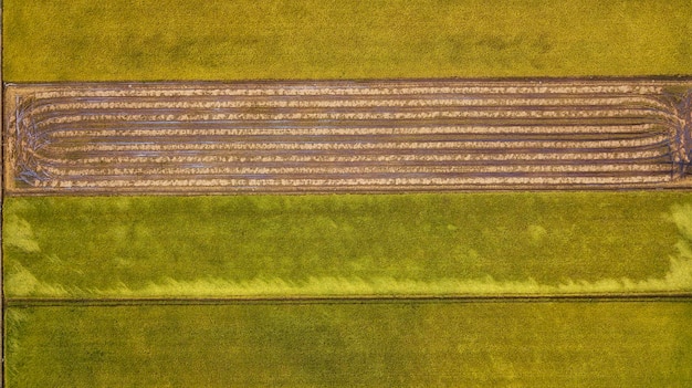 Precision Irrigation: Boosting Crop Yields by 15% in 2025