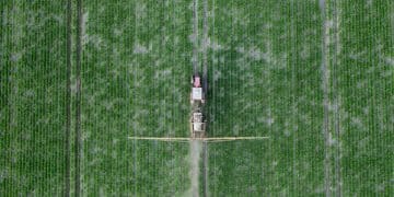 Drone Spraying: Is It a Worthwhile $50,000 Investment for US Farms? - Cover Image