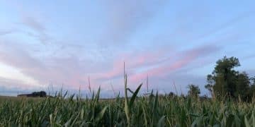New USDA Regulations for Genetically Modified Crops: A 2025 Farmer's Guide - Cover Image