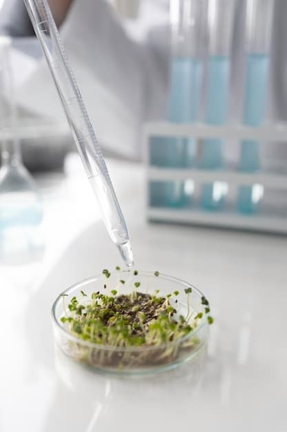 A close-up shot of a soybean plant in a laboratory, with scientists in the background analyzing data on computer screens. The plant is labeled with a barcode, signifying its genetically modified status. Focus on the detail of the plant's genetic structure.