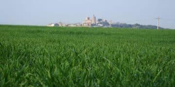 Latest USDA Grants for Sustainable Soil Management in the US - Cover Image