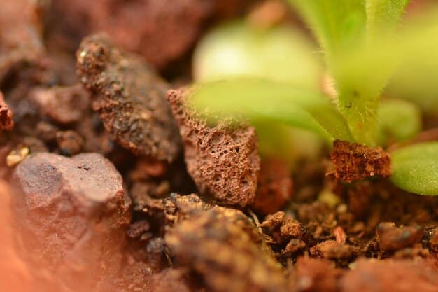 A close-up shot of healthy soil rich in organic matter. Earthworms are visible, and the soil has a dark, crumbly texture. Plant roots intertwine through the soil, indicating a thriving ecosystem.