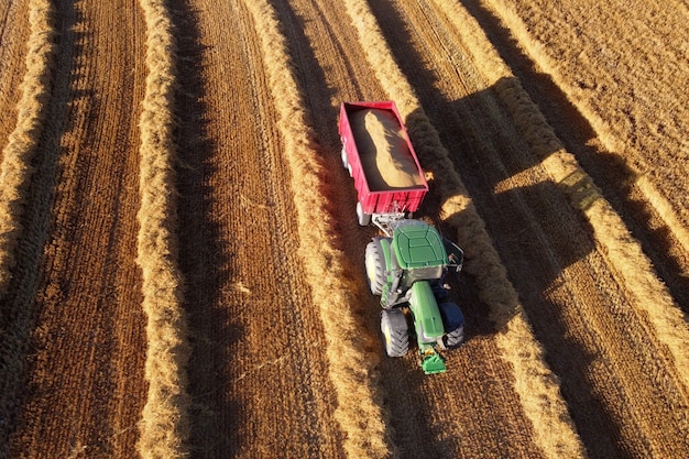 A tractor planting cover crops in a field after harvest. The cover crops are bright green, and the soil is visibly improved compared to a conventional tilled field. The sky is overcast, suggesting gentle rain.