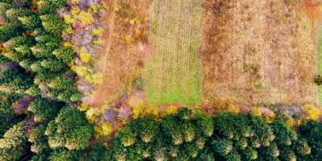 Cover Cropping Strategies: A US Farmer's Guide to Soil Health - Cover Image
