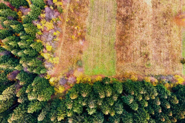 Cover Cropping Strategies: A US Farmer’s Guide to Soil Health