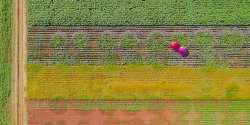 Projected Yield Increases for US Organic Farms Using IPM in 2025 - Cover Image