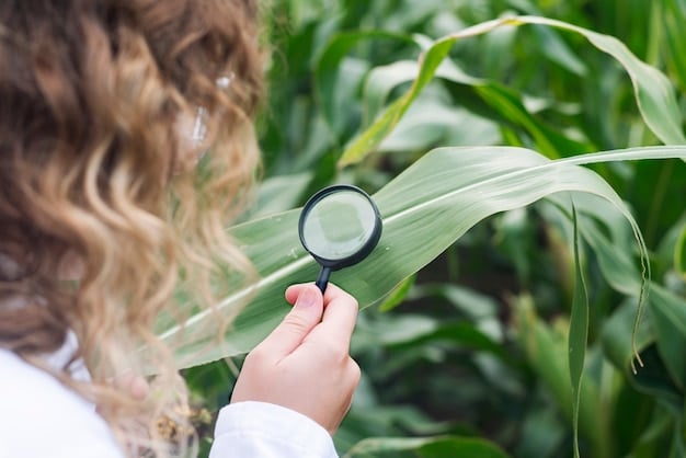 Close-up shot of an organic farmer inspecting a crop for pests, using a magnifying glass to identify insects and assess the level of infestation. The image captures the detailed monitoring aspect of IPM.