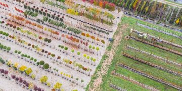 Agroforestry in the US: Integrating Trees for Farm Sustainability and Profit - Cover Image