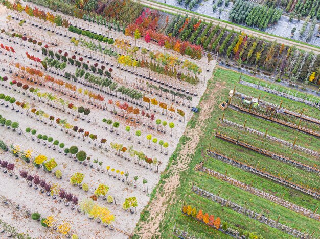 Agroforestry in the US: Integrating Trees for Farm Sustainability and Profit