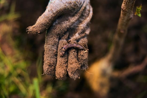 A close-up shot of tree roots intertwined with soil, demonstrating the soil-stabilizing and nutrient-cycling benefits of agroforestry in American farmlands.
