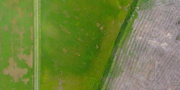 Precision Agriculture: US Market Growth Drivers & Trends to 2025 - Cover Image