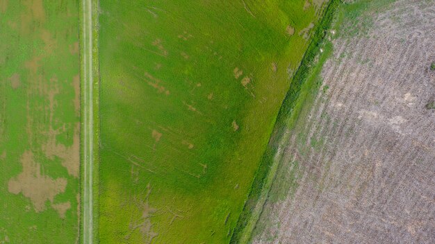 Precision Agriculture: US Market Growth Drivers & Trends to 2025