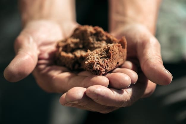 A close-up shot of a farmer's hands carefully examining a handful of healthy soil, rich in organic matter, with seedlings sprouting. The background is slightly blurred to emphasize the soil and the farmer's hands.