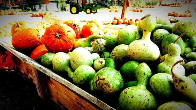 A market stall overflowing with vibrant organic produce, including tomatoes, cucumbers, apples, and carrots, showcasing the diversity and quality of organic agriculture.