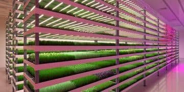 US Vertical Farming Market: Tech Trends and Growth Drivers - Cover Image