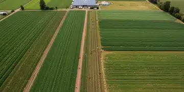 Sustainable farm with cover crops and solar panels