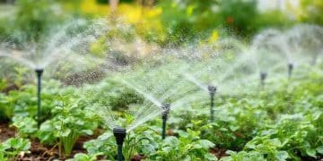 Automated irrigation control systems: optimize your garden effortlessly