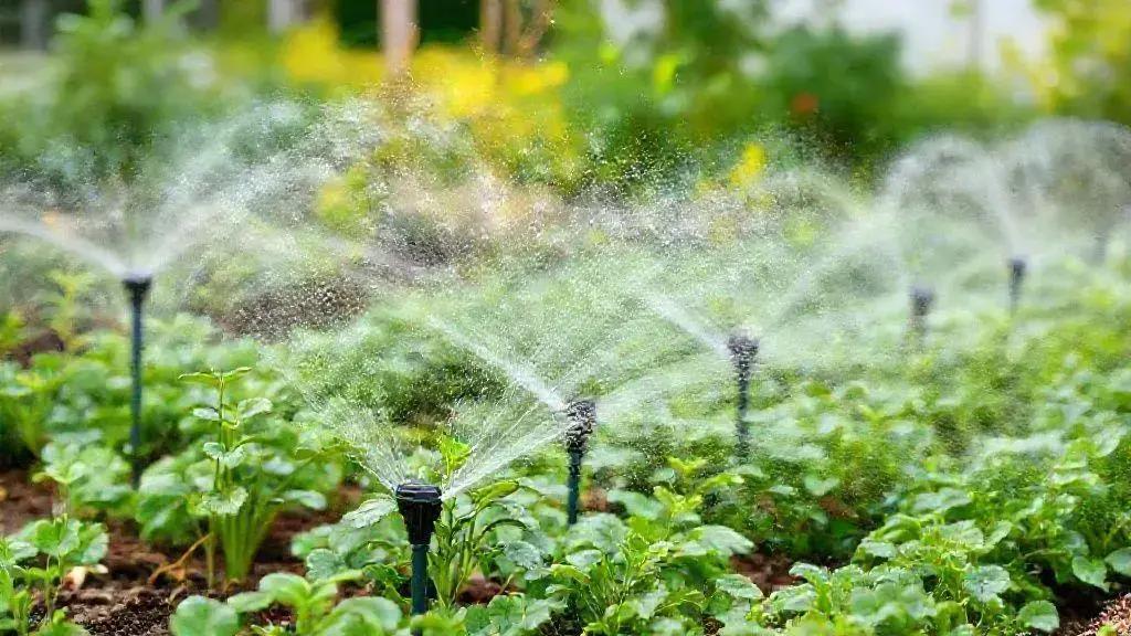 Automated irrigation control systems: optimize your garden effortlessly