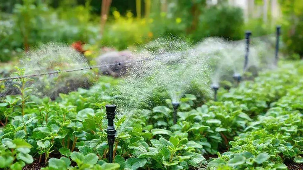 Key benefits of implementing these systems