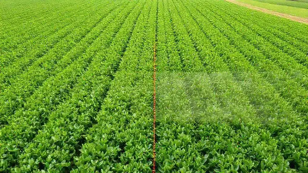 Advantages of using variable rate systems