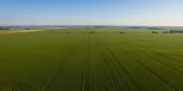 US Agricultural Commodity Forecast 2026: Q1 Price Volatility Aerial view of a large, green agricultural field in the American Midwest under a blue sky, symbolizing agricultural prosperity and future market challenges.