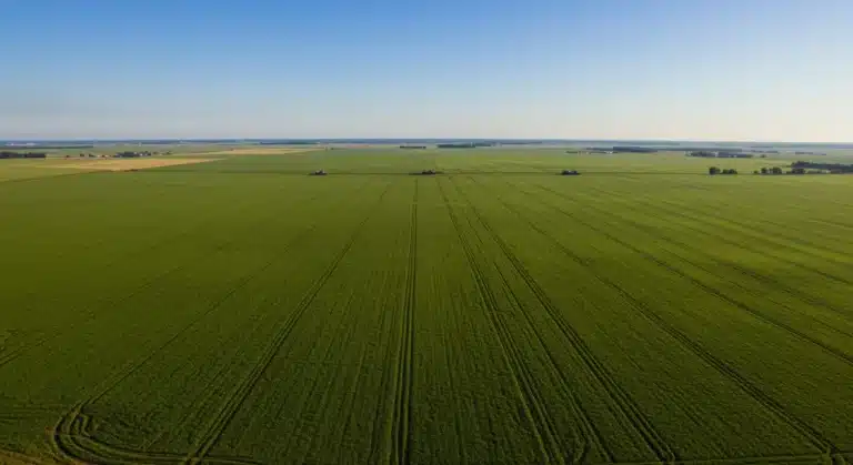 Aerial view of a large, green agricultural field in the American Midwest under a blue sky, symbolizing agricultural prosperity and future market challenges.