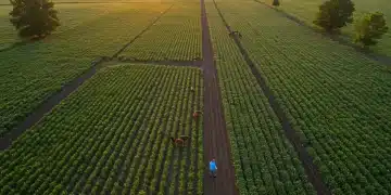Aerial view of a thriving organic farm with diverse crops in the US Midwest, symbolizing growth and sustainability.