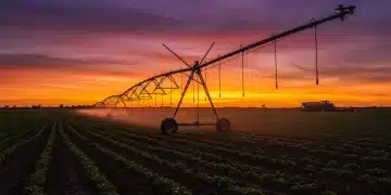 Smart irrigation system watering a thriving crop field at sunset, symbolizing advanced agricultural water conservation.