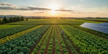 Farmer inspecting diverse crops on a flourishing sustainable farm with solar panels, symbolizing economic growth.