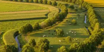 Aerial view of an integrated agroforestry farm in the US, showcasing trees, crops, and livestock.