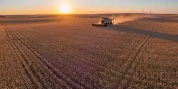 Vast golden wheat field with a combine harvester at sunset, representing agricultural future.